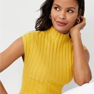 Ann Taylor Ribbed Mock Neck Sweater Shell